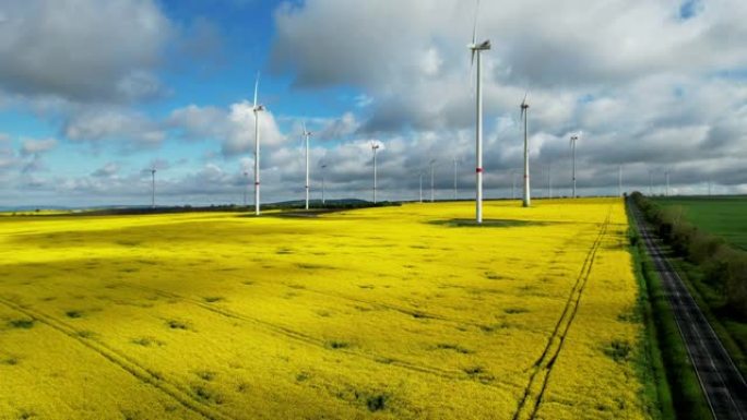 风力涡轮机和盛开的黄色油菜籽田的鸟瞰图