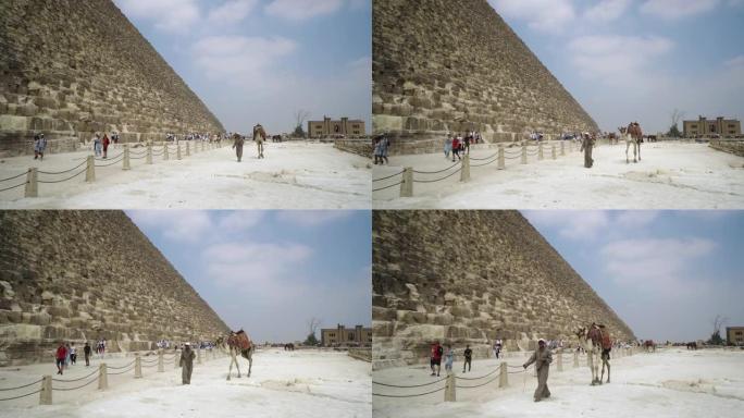骆驼上的游牧者和游客参观埃及沙漠中的吉萨金字塔