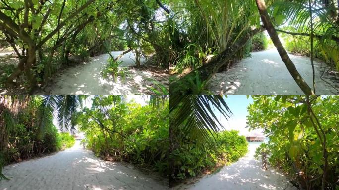 马尔代夫暑假期间，在棕榈森林的一条沙质小路上行走的4k视频视图