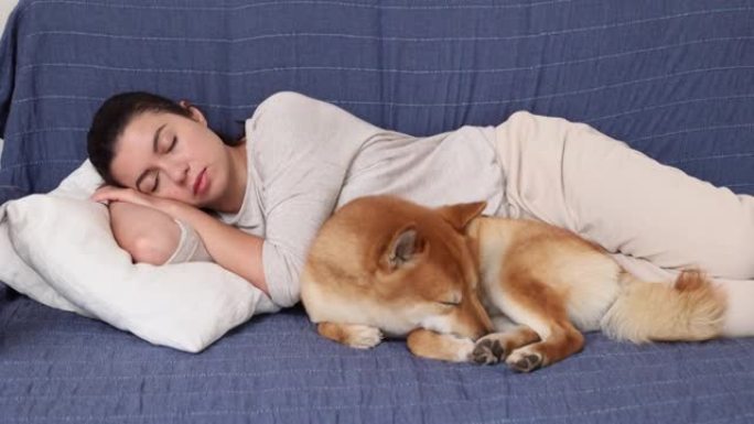 与女主人一起睡在沙发上的柴犬。年轻女子在家和小狗一起放松