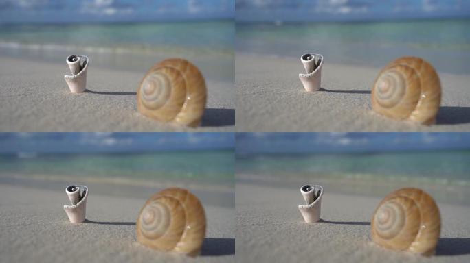 波浪以慢动作来到白色沙滩上的贝壳上。度假和旅行概念