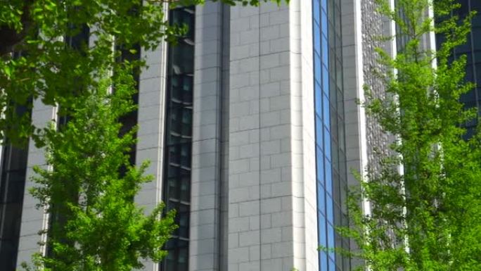 现代办公楼和树木写字楼CBD移轴