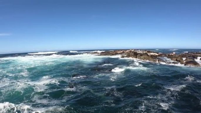 南非开普敦附近的海豹岛乘船旅行野生动物哺乳动物殖民地广角晴朗的蓝天