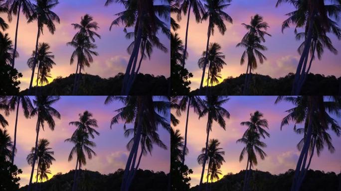 美丽的柔和多彩的日落热带天空椰树剪影热带天堂