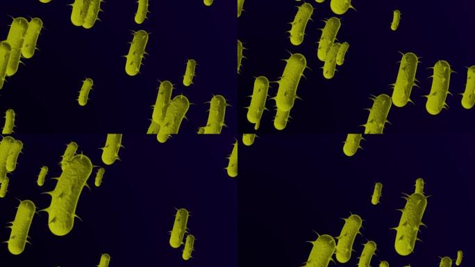 4k显微细菌医学背景-循环，可循环细菌-漂浮大肠杆菌细菌-细菌的3D动画。螺旋细菌特写-黄色
