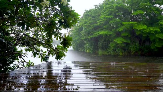 热带雨滴落在热带森林的木制露台上，有雨声，热带雨重在湖面。