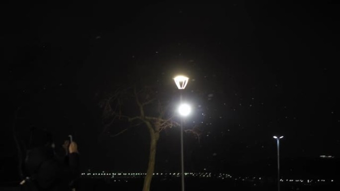 夜市公园明亮的灯光灯笼背景下的惊人降雪初冬平移。年轻女子用智能手机城市景观拍照。自然现象，圣诞快乐，