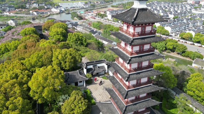 铜观音寺 太湖 晚樱 航拍 晴天 寺庙