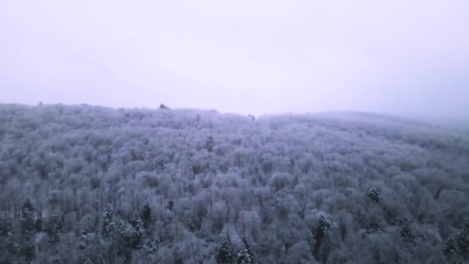 在暴风雪中飞越一座山