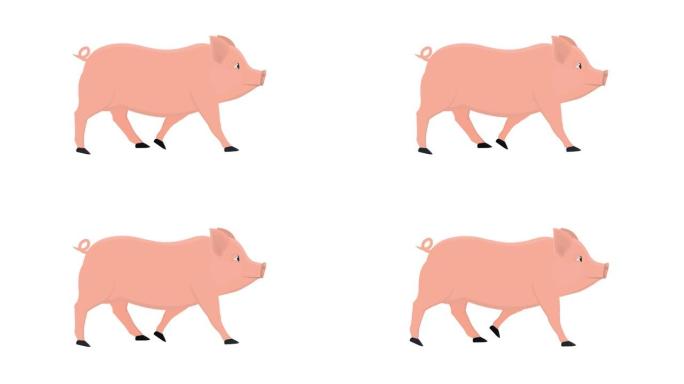 猪。动物小猪的动画。卡通