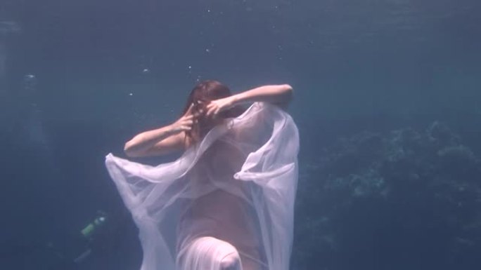 水下模型年轻女孩自由潜水员在红海的白色透明面纱。