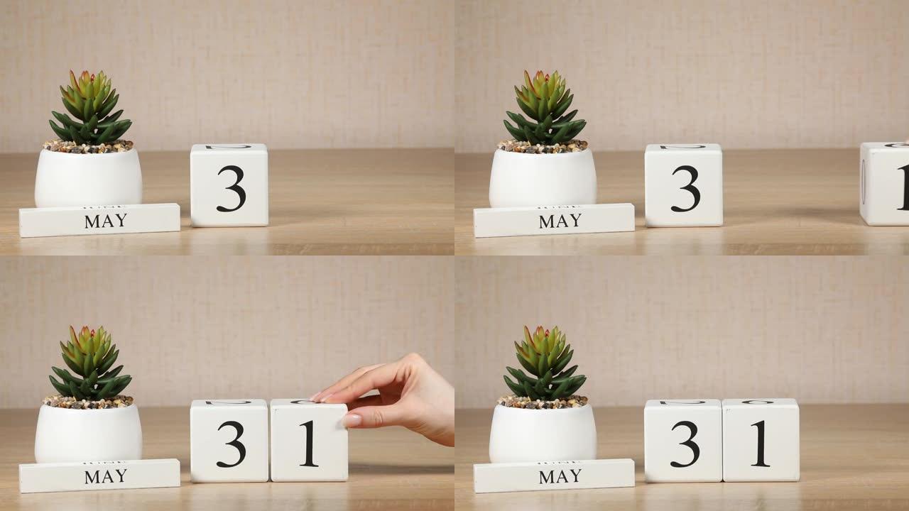 木制日历对5月31日来说是一个重要的事件，女人的手在日历上设置日期。春季。