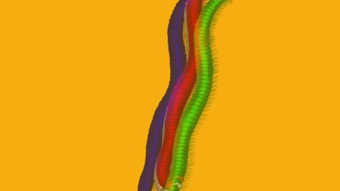 描绘3D蠕虫立体图像的高分辨率视频，它是通过分离颜色和使用滤镜制作的。