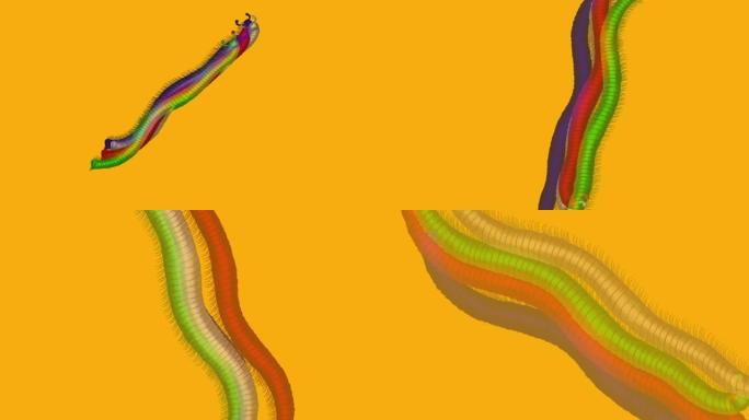 描绘3D蠕虫立体图像的高分辨率视频，它是通过分离颜色和使用滤镜制作的。
