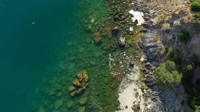 悬崖附近的海洋霉菌威胁着海洋生物