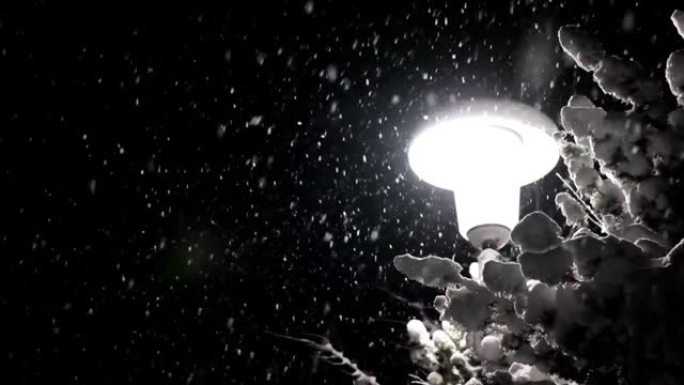 路灯和黑暗中慢慢飘落的雪。雪和灯笼的灯光下。冬季。冬天的心情。