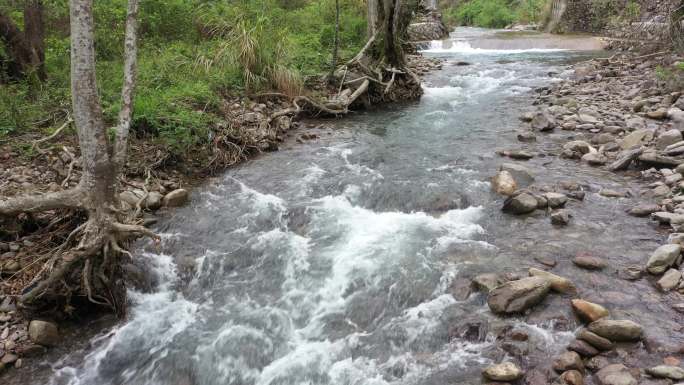 原始森林清澈溪涧流水