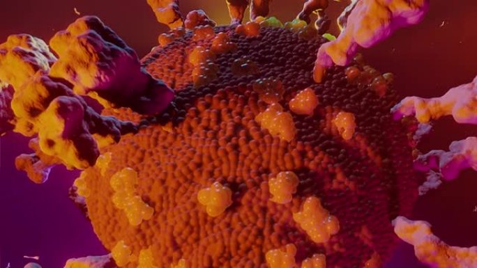 揭露Covid19冠状病毒的镜头。丰富多彩的电影3D动画。系列之一。