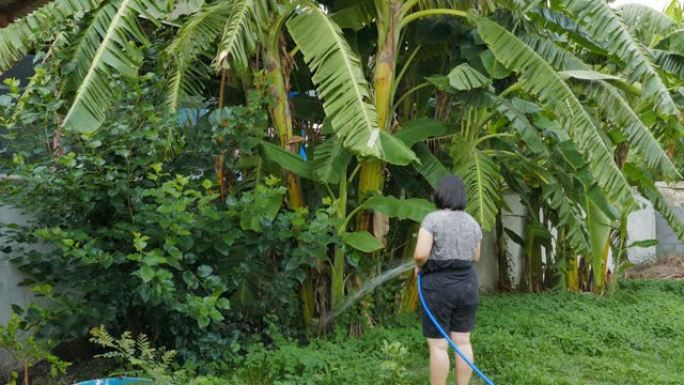 亚洲妇女在后院浇灌植物