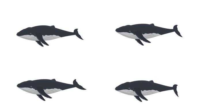 鲸鱼。海洋动物的动画。卡通