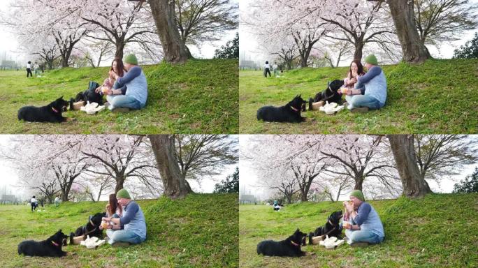 夫妇带着狗在樱花树下吃橘子