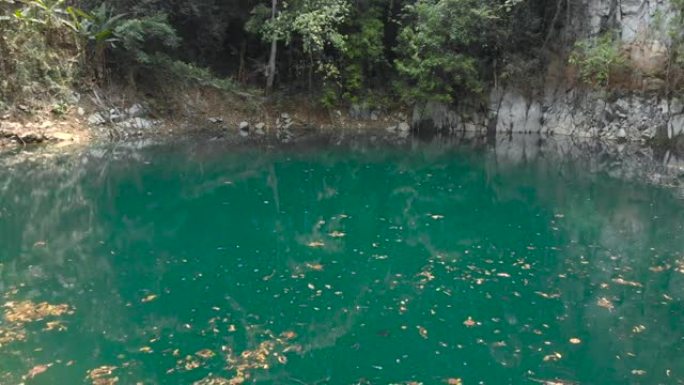 水槽孔天然绿色水塘