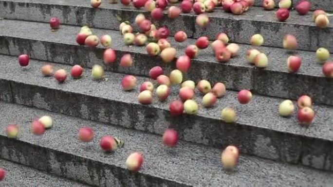 许多散落的苹果从台阶上掉下来。