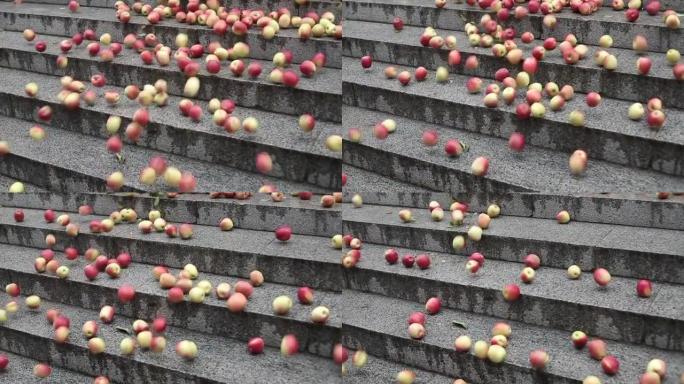 许多散落的苹果从台阶上掉下来。
