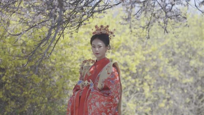 汉服的中国女性，古代服饰