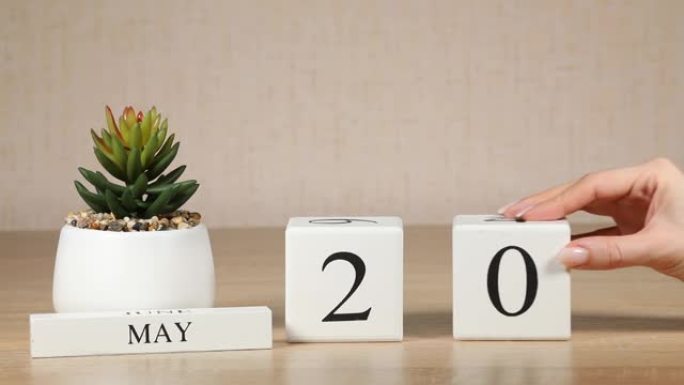 木制日历对5月20日来说是一个重要的事件，女人的手在日历上设置日期。春季。