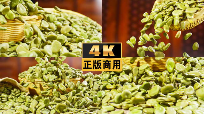 豆胡豆蚕豆豆类蔬菜农业粮食农作物罗汉豆