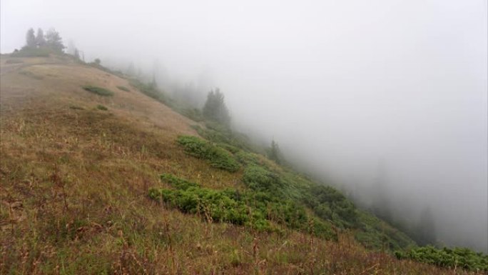 雾在森林中的山间的时光倒流