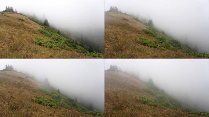 雾在森林中的山间的时光倒流