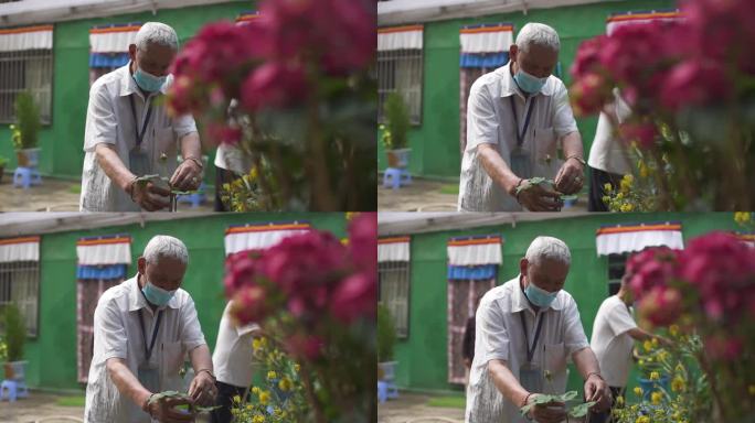 老人浇花 绿化 工作 爱好 浇水罐