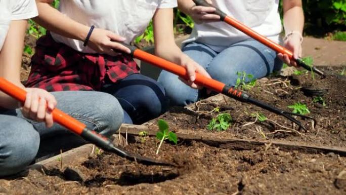 农民拿着园艺工具在花园床上耕种和塑造土壤的特写视频。乡村农场的团队合作