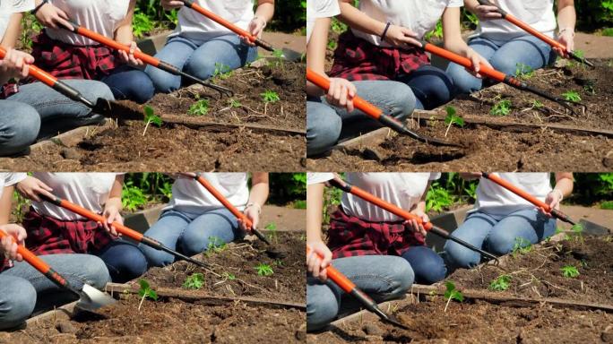 农民拿着园艺工具在花园床上耕种和塑造土壤的特写视频。乡村农场的团队合作