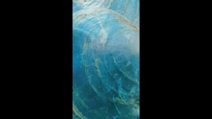 珍珠母贝壳蓝色背景。珍珠母贝壳的纹理