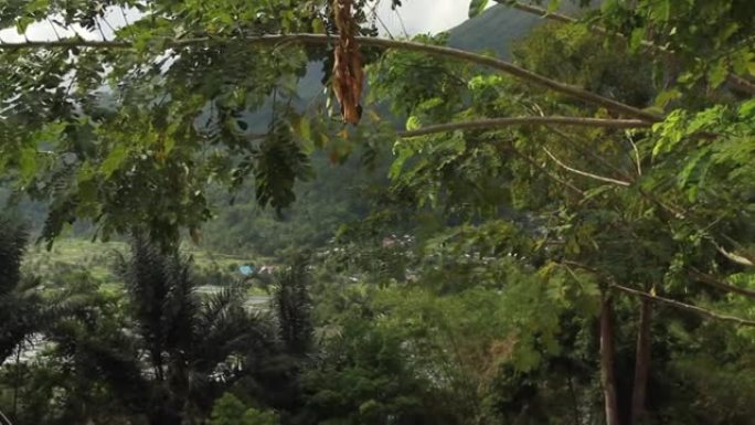 印度尼西亚北苏拉威西岛万鸦老托莫洪村的热带森林洛康山和恩普翁瓦利安的圆形剧场。