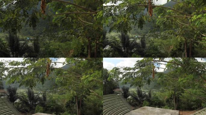 印度尼西亚北苏拉威西岛万鸦老托莫洪村的热带森林洛康山和恩普翁瓦利安的圆形剧场。