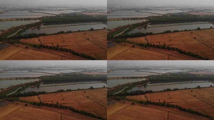 旱季棕色稻田的空中全景超过空气中的PM2.5颗粒许多尘埃天空不清楚