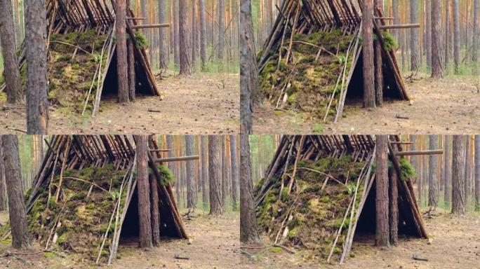 针叶林长满苔藓的废弃小屋。由原木和树枝制成的幽灵小屋