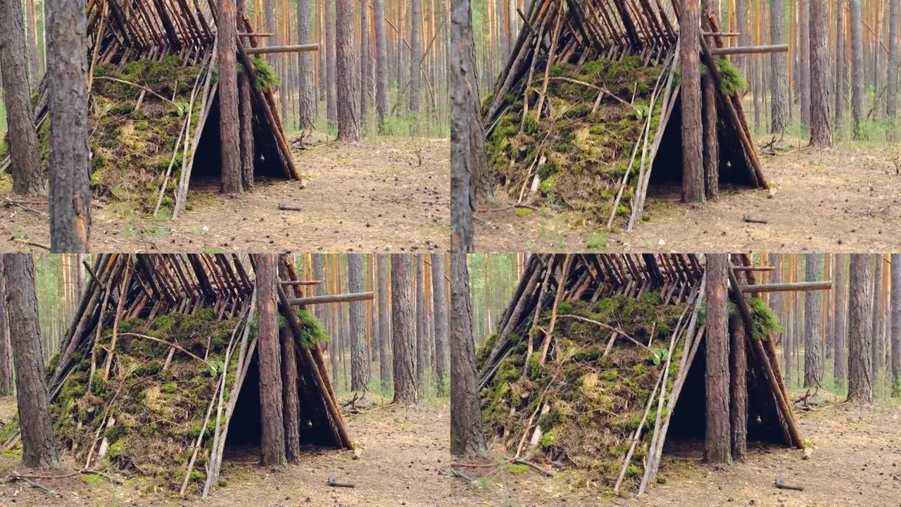 针叶林长满苔藓的废弃小屋。由原木和树枝制成的幽灵小屋