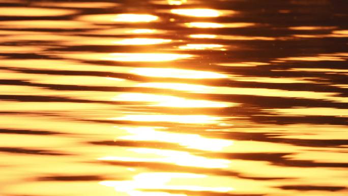 夕阳金色湖面4K