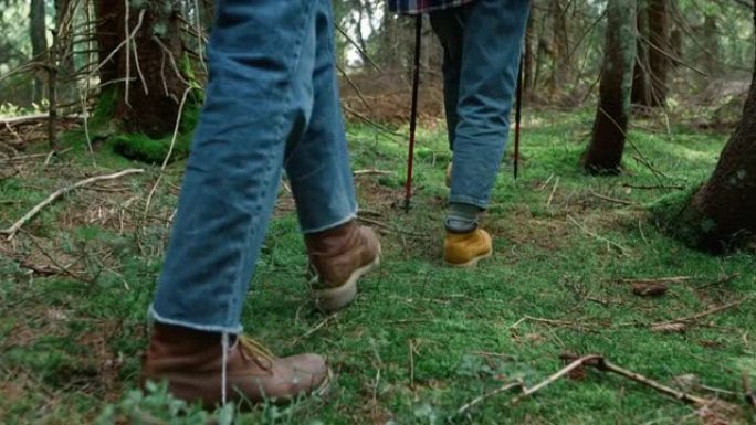 穿着登山靴的男人和女人在树林里散步。徒步旅行者在森林中徒步旅行