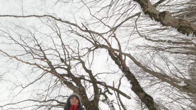 低角度视角女性徒步旅行者在雪地包围林木。空白背景极限独奏冒险