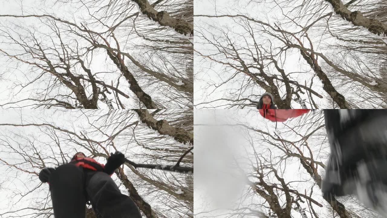 低角度视角女性徒步旅行者在雪地包围林木。空白背景极限独奏冒险