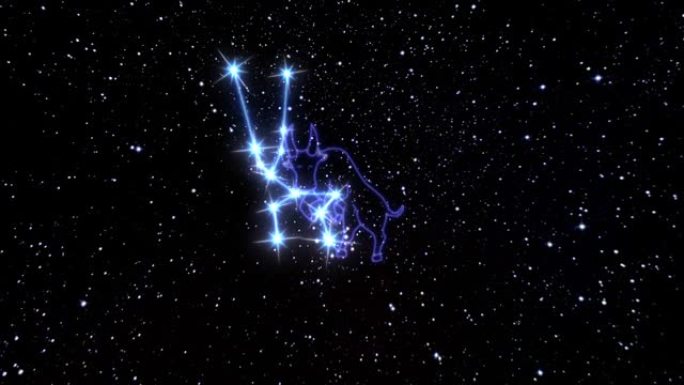 黄道星座金牛座是由发光线连接的亮星星座。宇宙夜空中黄道十二宫星座的动画。星座和星座的象征。