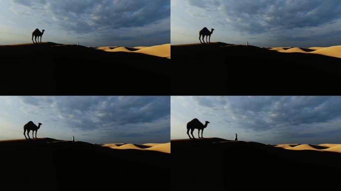 阿拉伯人带着沙丘走向沙漠中的骆驼