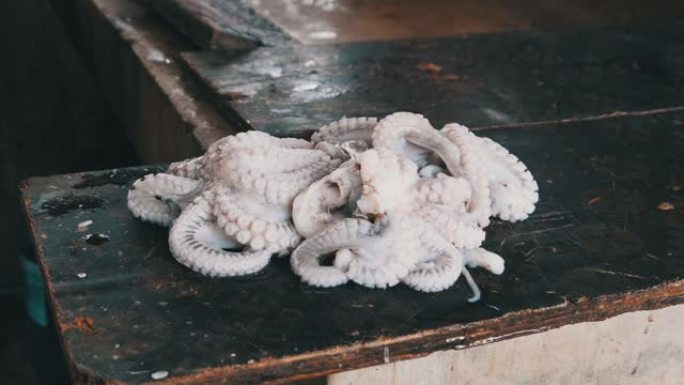 非洲的鱼市场，新鲜的章鱼躺在桑给巴尔肮脏不卫生的陈列柜上