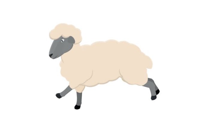 羊。动物羊的动画。卡通